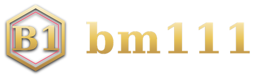 bm111 logo
